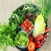 Lean & Green Share